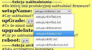 Wybór linii rozwojowej